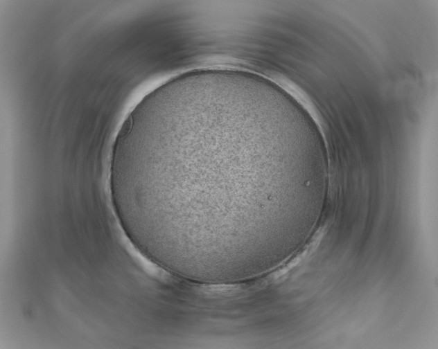X0000110891437200907021508