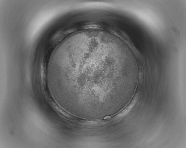 X0000110891438200907021508