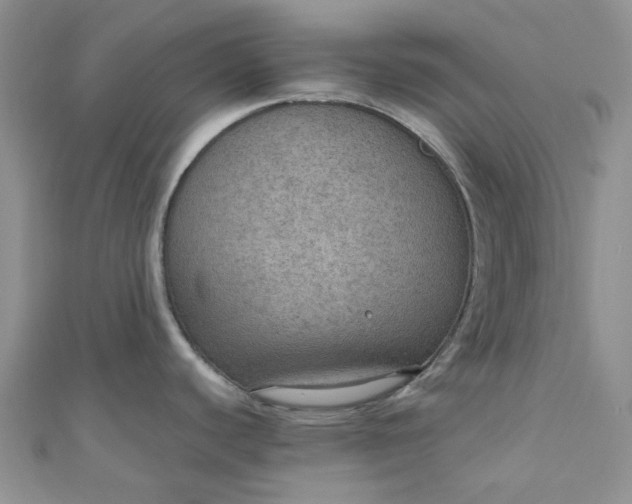 X0000110891440200907021508