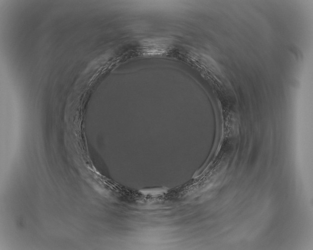 X0000110891441200907021508