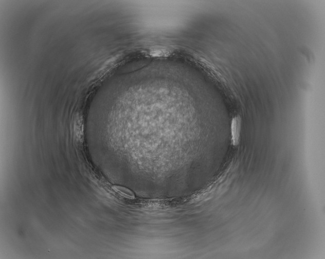 X0000110891443200907021508