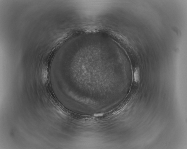 X0000110891444200907021508