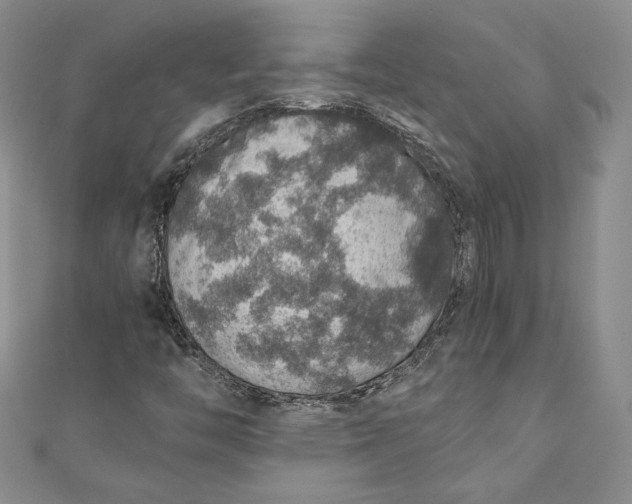 X0000110891446200907021508