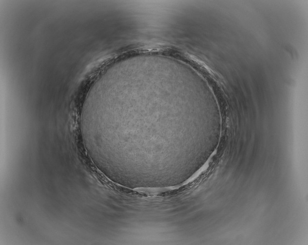 X0000110891447200907021508