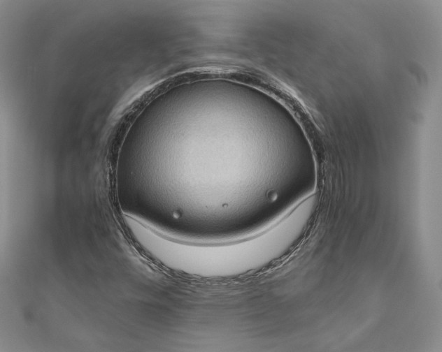 X0000110891448200907021508