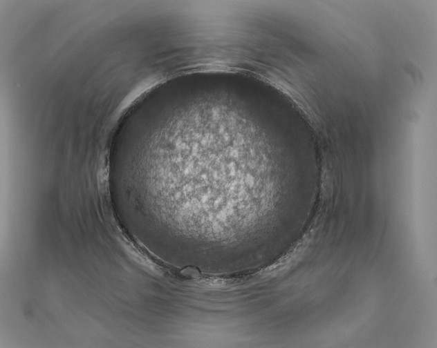 X0000110891450200907021508