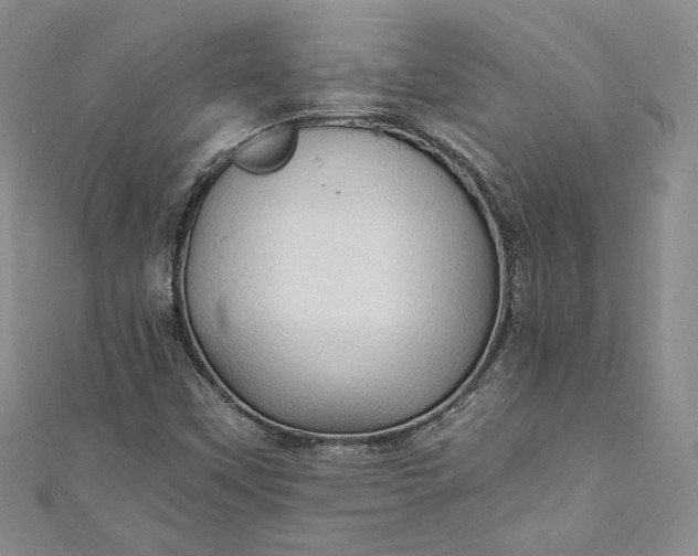 X0000110891451200907021508