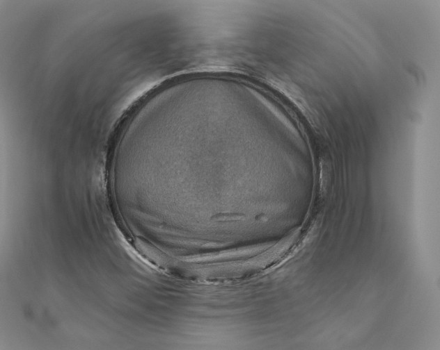 X0000110891452200907021508