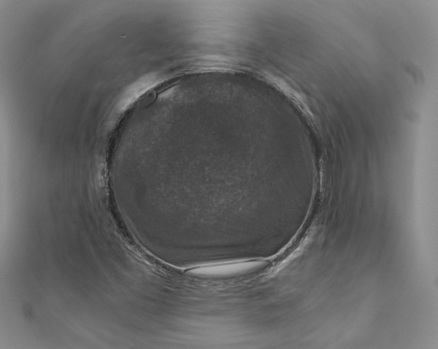 X0000110891453200907021508