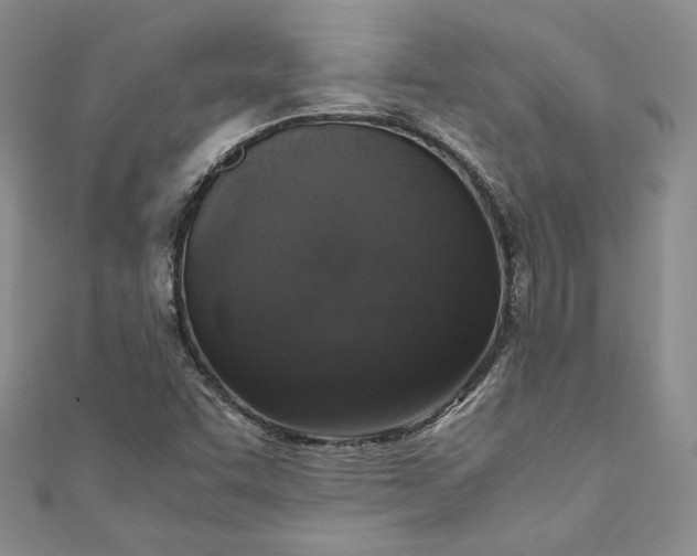 X0000110891455200907021508
