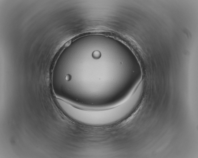 X0000110891457200907021508