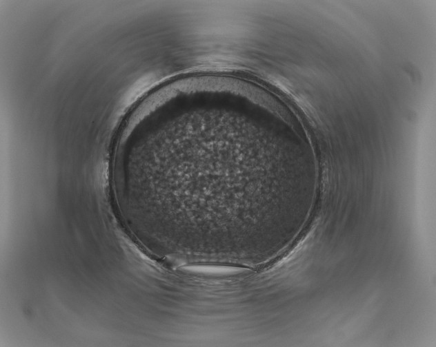 X0000110891459200907021507