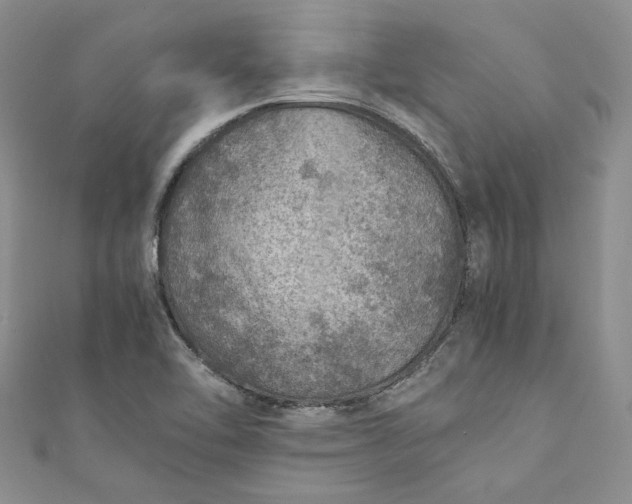 X0000110891462200907021507