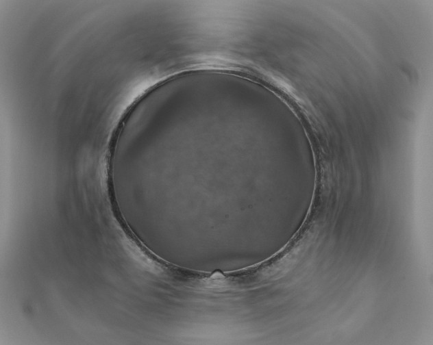 X0000110891463200907021507