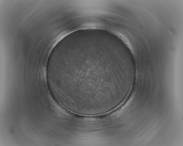 X0000110891465200907021507