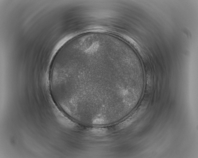 X0000110891466200907021507