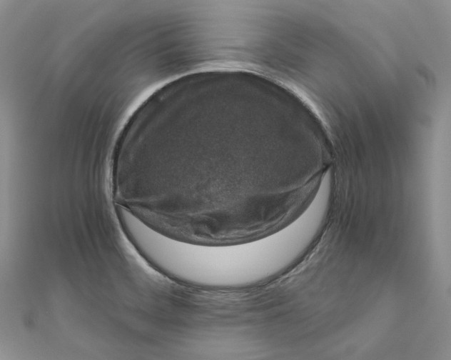 X0000110891468200907021507