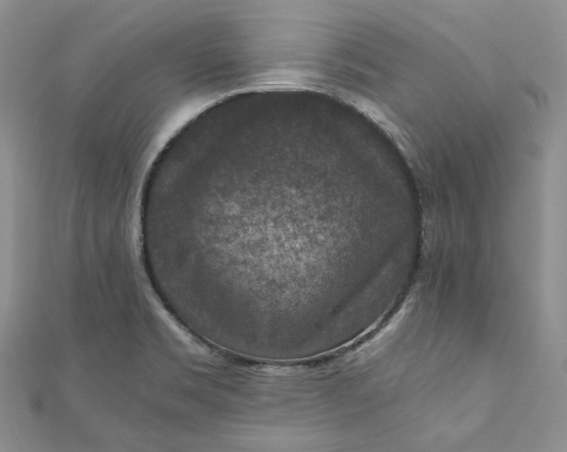 X0000110891469200907021507