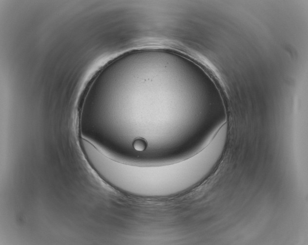 X0000110891472200907021507