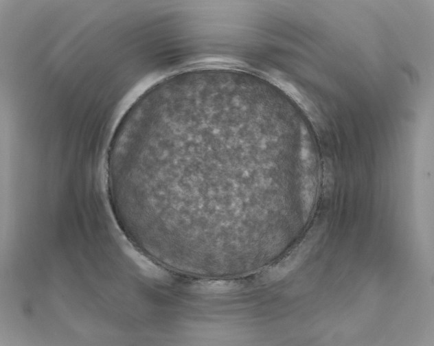 X0000110891474200907021507