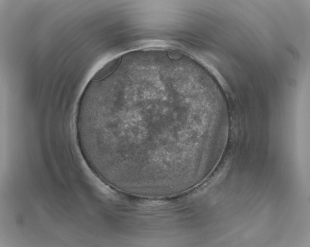 X0000110891475200907021507