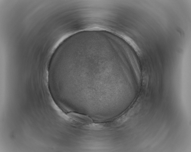 X0000110891476200907021507