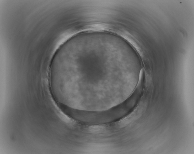 X0000110891477200907021507