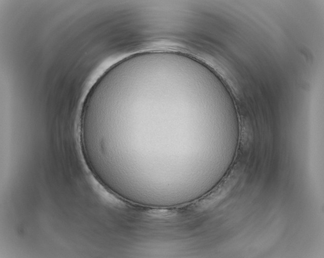 X0000110891478200907021507