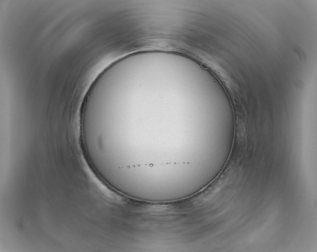 X0000110891479200907021507