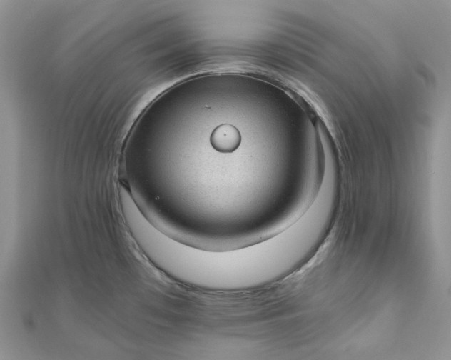 X0000110891481200907021507