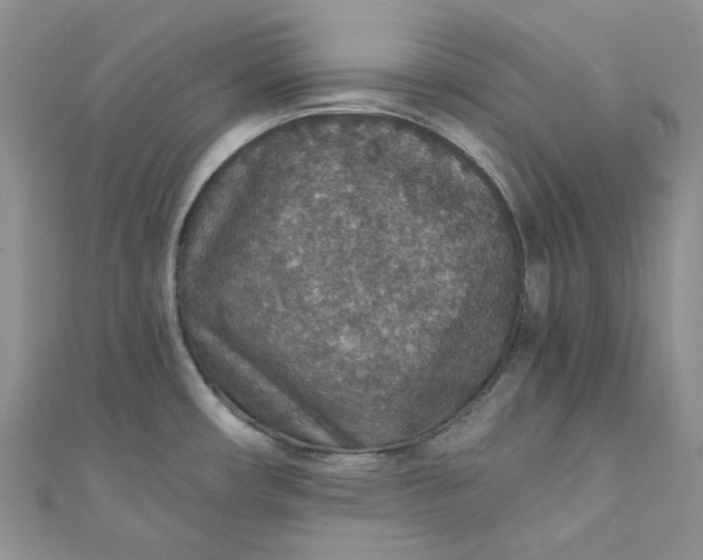 X0000110891482200907021507
