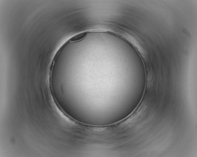X0000110891484200907021507