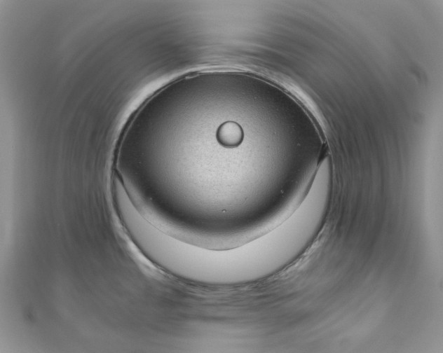 X0000110891485200907021507