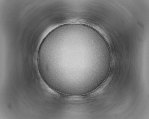 X0000110891486200907021507