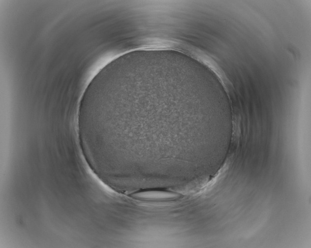 X0000110891487200907021507