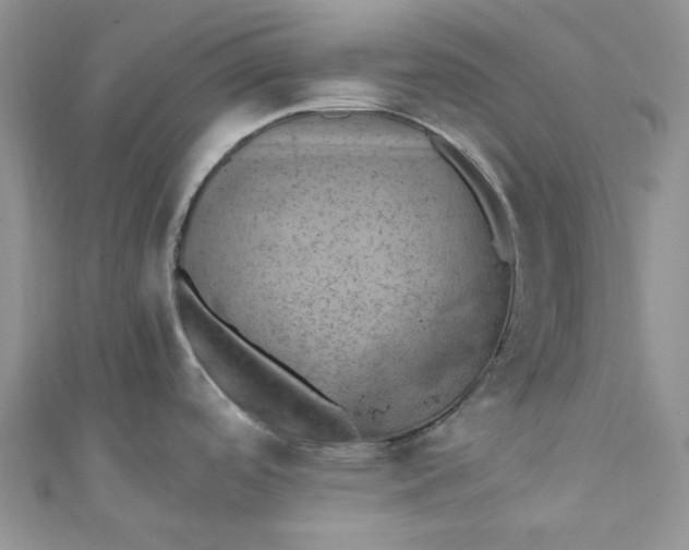 X0000110891488200907021507