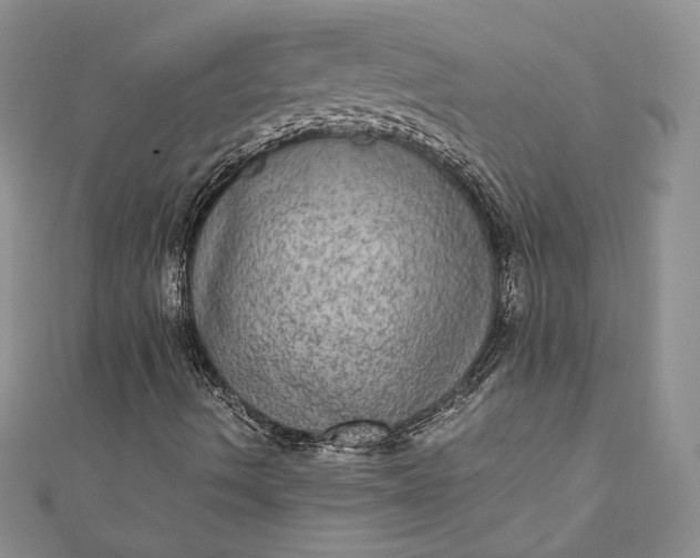 X0000110891490200907021507
