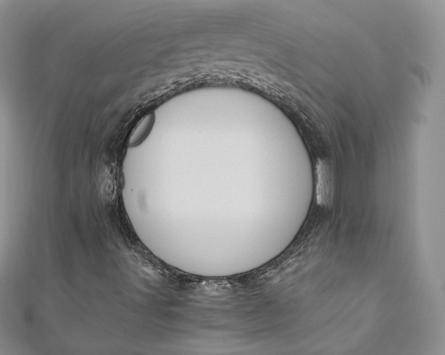 X0000110891491200907021507
