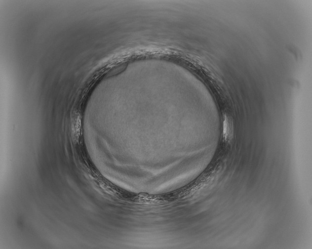 X0000110891492200907021507