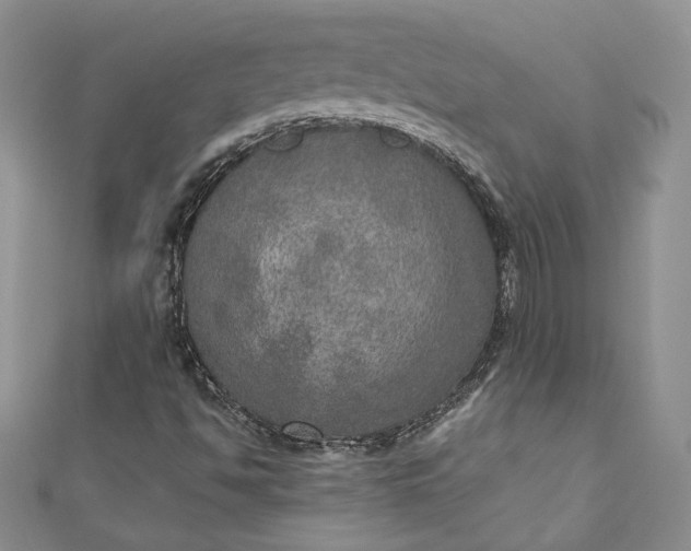 X0000110891494200907021507