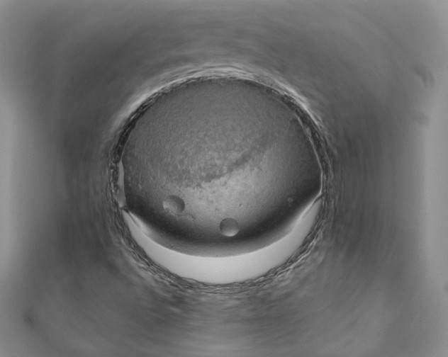 X0000110891496200907021507