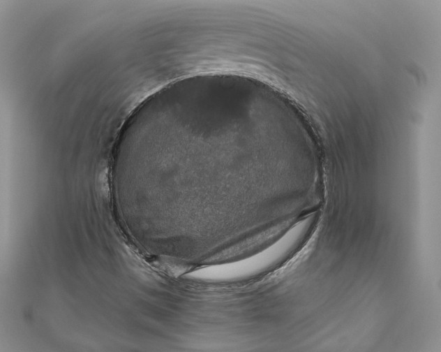 X0000110891497200907021507