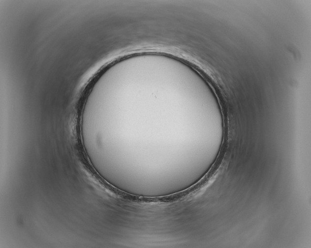 X0000110891502200907021507
