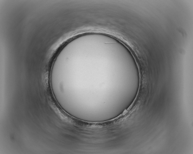 X0000110891503200907021507