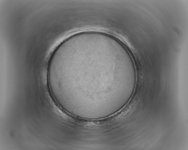 X0000110891504200907021507