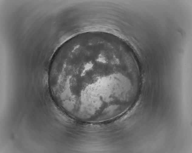 X0000110891505200907021507