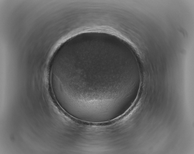 X0000110891506200907021507