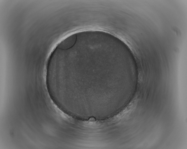 X0000110891508200907021507
