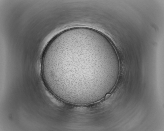 X0000110891511200907021507
