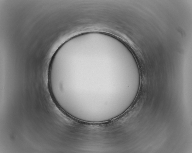 X0000110891512200907021507